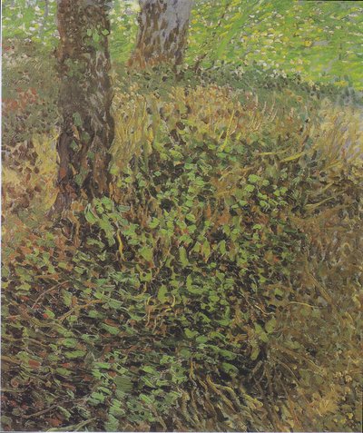 Undergrowth by Vincent van Gogh